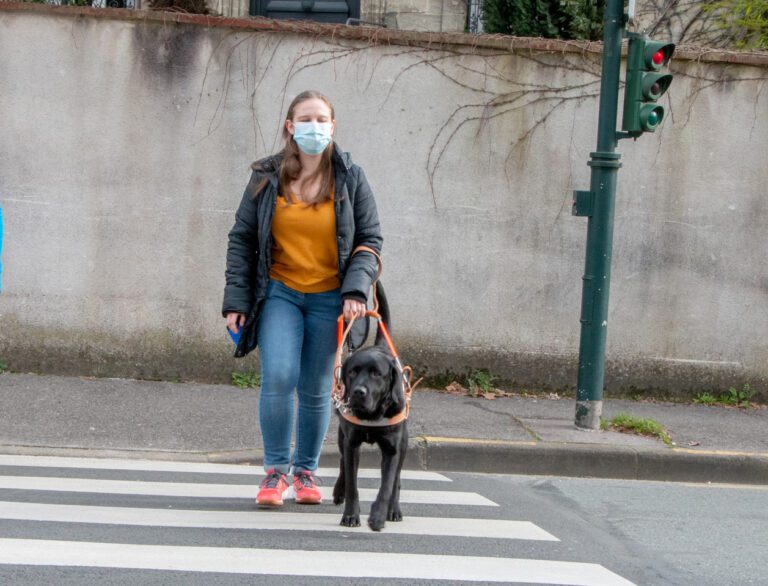 Pourquoi Un Chien Guide Chiens Guides DAlienor